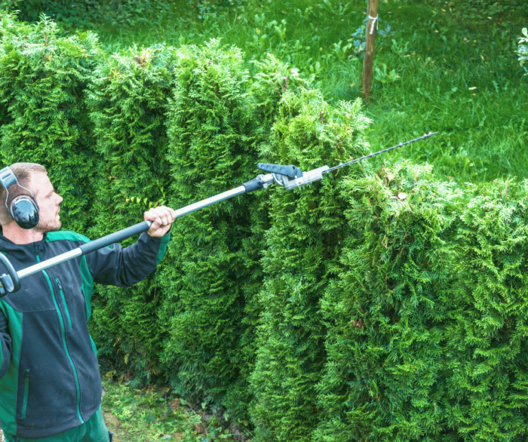 hedge trimming services, grass cutting services, lawn mowing services