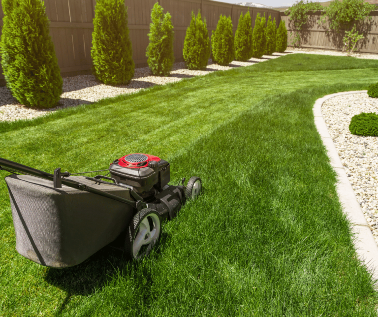 hedge trimming services, grass cutting services, lawn mowing services